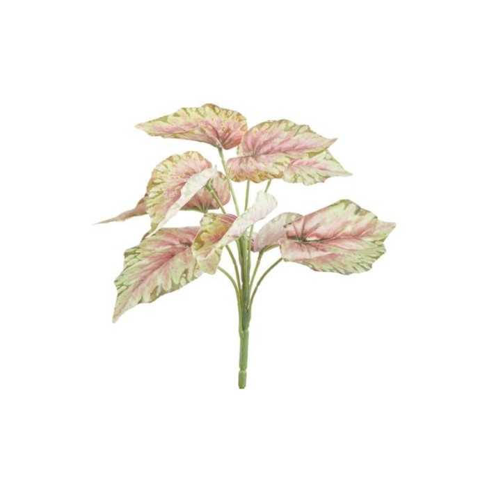 CIUFFO CALADIUM X9 27CM